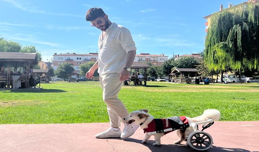 Köpeği Felç Kaldıktan Sonra Müslüman Oldu