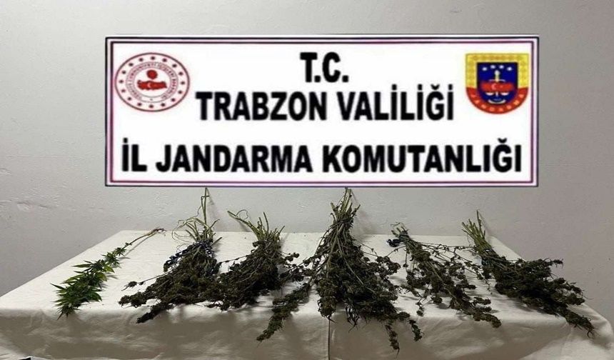 Trabzon'daki Uyuşturucu Operasyonunda 2 Şüpheli Gözaltına Alındı