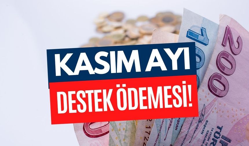 Aile Bakanlığı 2125 TL Desteği Kasımda Hesaplara Yatıracak