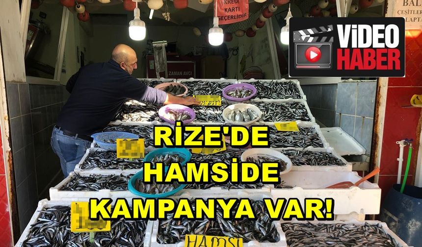 Rize'de Hamside Kampanya Var! 18 Kiloluk Hamsi Kasası...