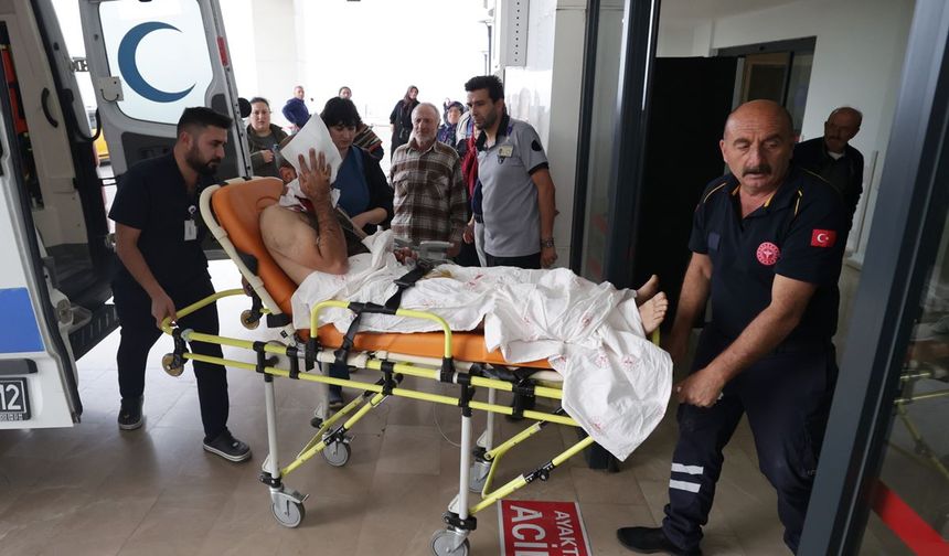 Ayı Saldırısına Uğradı! Ambulans Helikopterle Trabzon'a Gönderildi