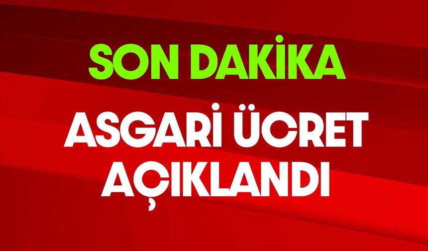 2024 Yılı Asgari Ücret Açıklandı