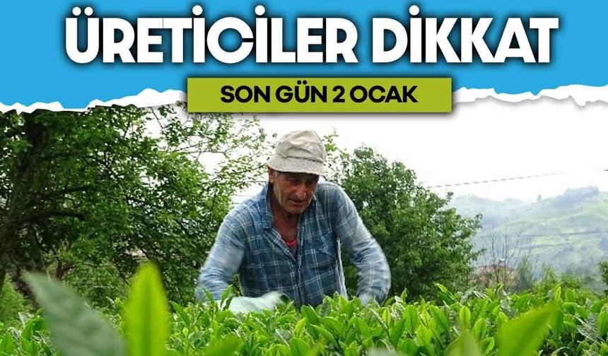 Çay Müstahsilleri Dikkat: 2 Ocak'ta Sona Eriyor
