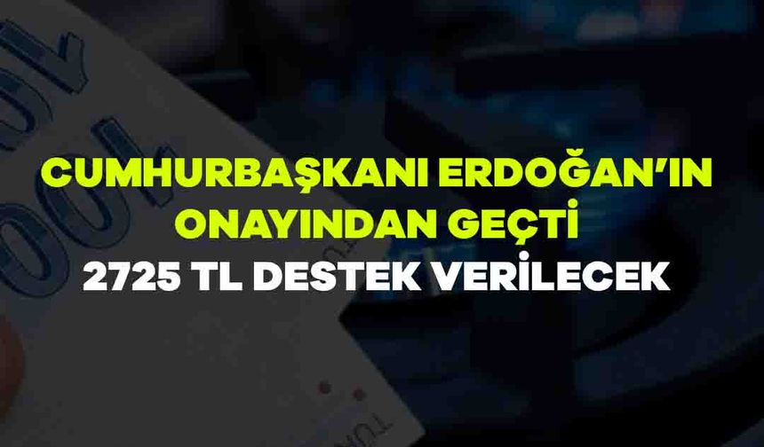 Doğalgaz ve elektrik faturası ödeyenler dikkat! Cumhurbaşkanı Erdoğan’ın onayından geçti… 2725 TL destek verilecek