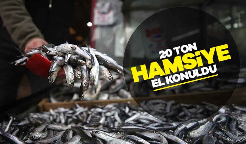 20 Ton Hamsiye El Konuldu 