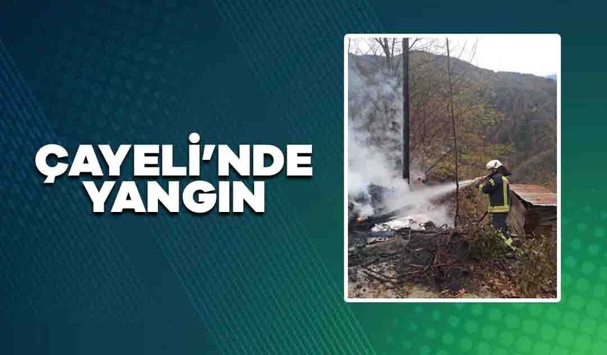 Rize'de Arıcı Barakasında Çıkan Yangın Ormana Sıçramadan Söndürüldü