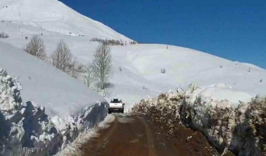 Bingöl’ün Yayladere ilçesi kırsalında kardan kapanan köy yolları açılmaya çalışılıyor