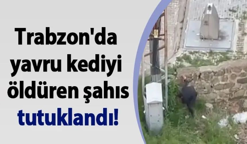 Trabzon'da Yavru Kediyi Tekmeleyerek Öldürdüğü Öne Sürülen Kişi Tutuklandı
