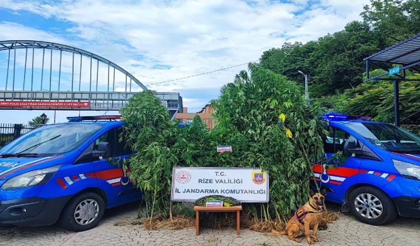 Rize'de Uyuşturucu Operasyonlarında 13 Kişi Tutuklandı