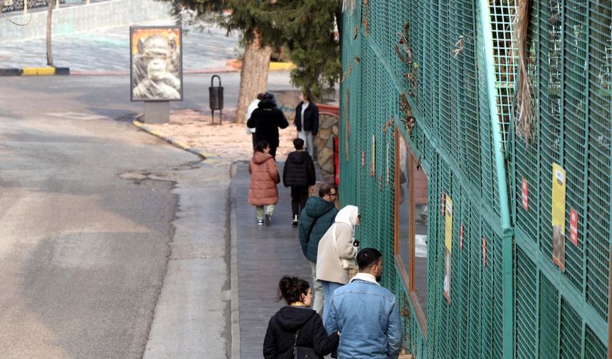 Türkiye'nin en büyük hayvanat bahçesinde tüm zamanların ziyaretçi rekoru kırıldı