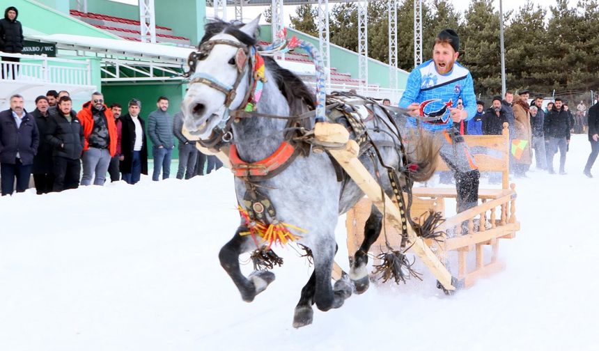 Erzurum'da atlı kızak şampiyonası