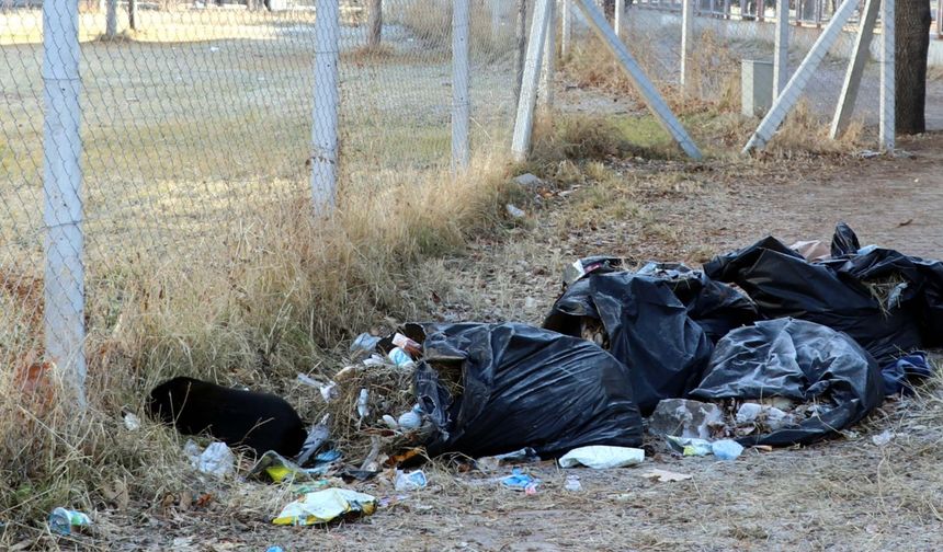 Köpeğin saldırısına uğrayan Zeynep yaralandı