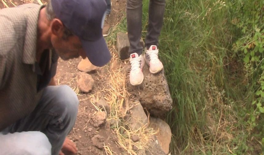 Narin Güran cinayetinde, avukatlarından anne Yüksel Güran'ın tutukluluğuna itiraz