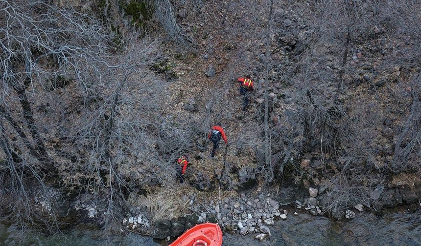 Tunceli'de kayalıklardan düşüp, boynuzu ağaca takılan yaban keçisini ekipler kurtardı