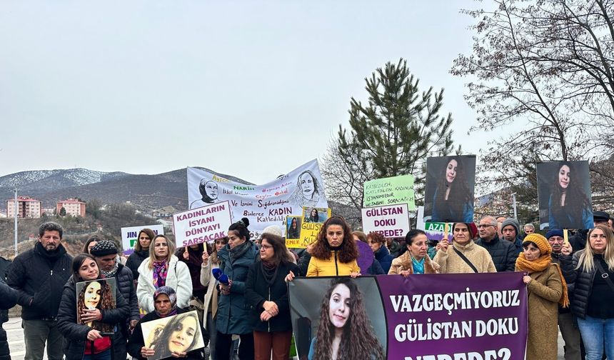 Tunceli’de kaybolan Gülistan Doku’dan 5 yıldır iz yok (2)