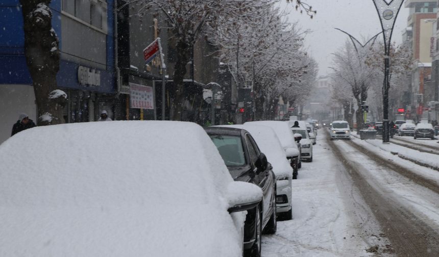 Van'da kar yağışı