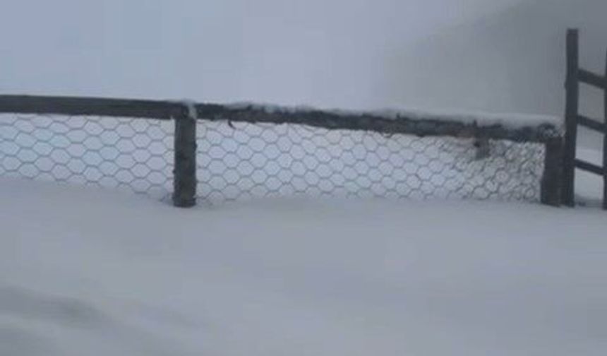 Artvin’de çığ düştü; o anlar kamerada