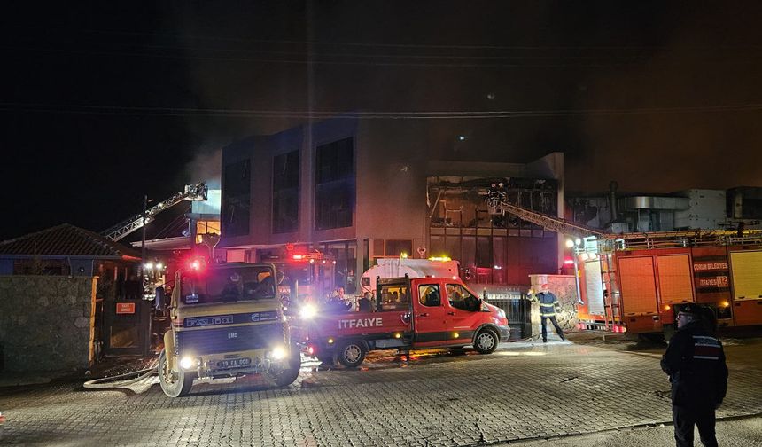 Çorum Organize Sanayi Bölgesinde lavaş fabrikasında yangın (2)
