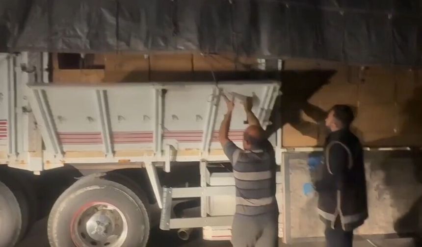 Malatya'da 7 milyon 250 bin makaron ele geçirildi