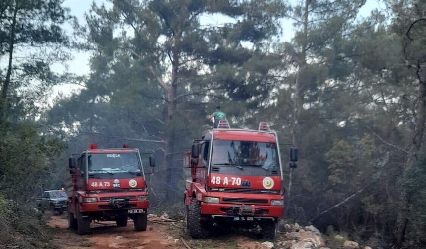 Milas'ta orman yangını; 2 hektar alan zarar gördü