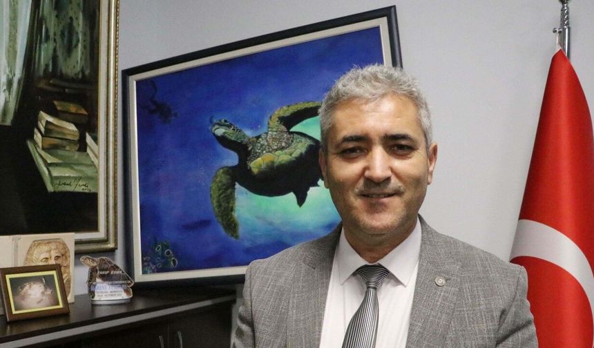 Tatilcilere bayram öncesi caretta caretta uyarısı: Beslemeyin