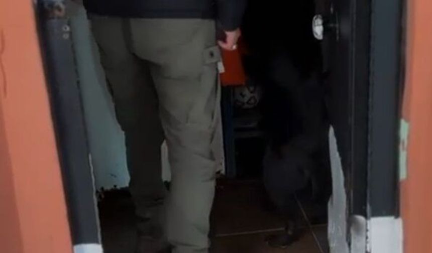 Yalova'da uyuşturucuya 5 tutuklama