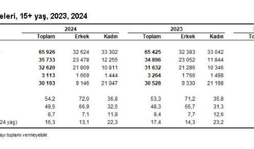 7,3 milyon kadın ev işleri nedeniyle iş gücüne katılamadı