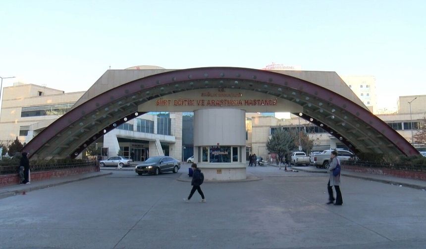 Atın teptiği Zerda, ağır yaralandı