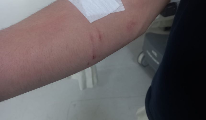 Diyarbakır’da aileler arasında taşlı sopalı kavga kamerada: 2’si çocuk, 5 yaralı