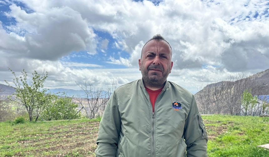Geçen sene köklerinden kestikleri ceviz ağaçlarının bu yıl da filizlerini kopardılar