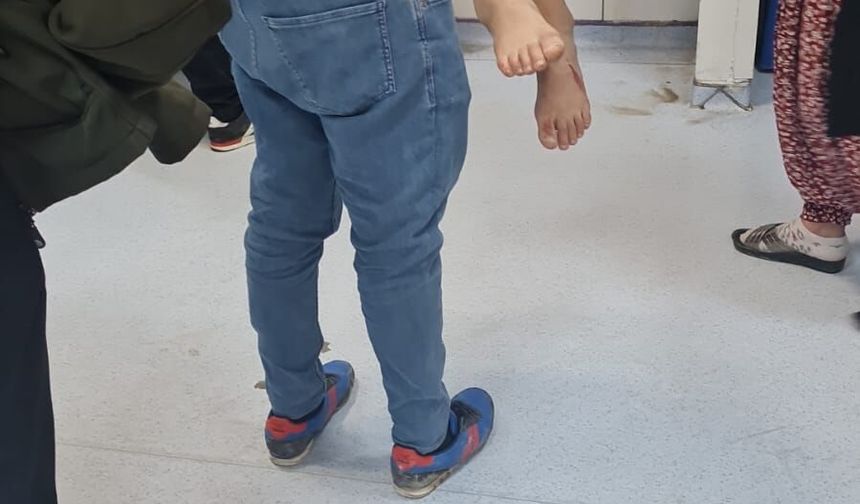 Malatya'da, sokakta oyun oynarken başıboş köpeklerin saldırısına uğrayan çocuk yaralandı