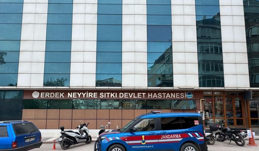 Zeytinlikte ayı saldırısında yaralandı