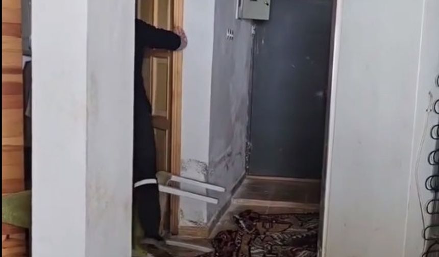 Aç kalan ayılar, belediye başkanının yayla evine girdi