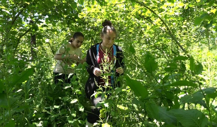 Heyelan sonrası alternatif yolda ‘vahşi hayvan’ korkusu