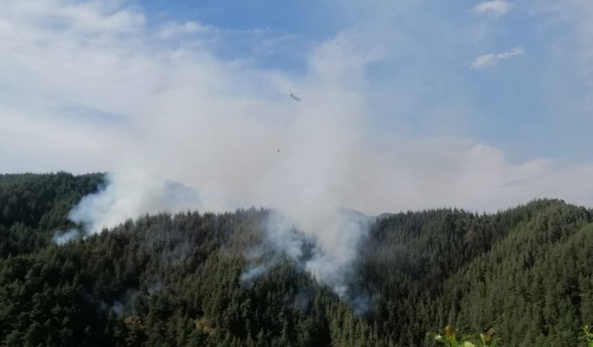 Kahramanmaraş’ta orman yangını