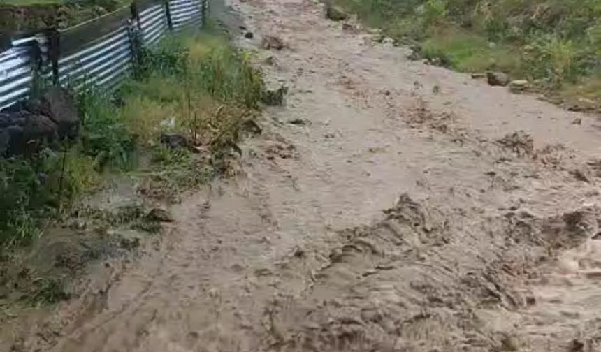 Göle’de sağanak sele yol açtı, evleri su bastı