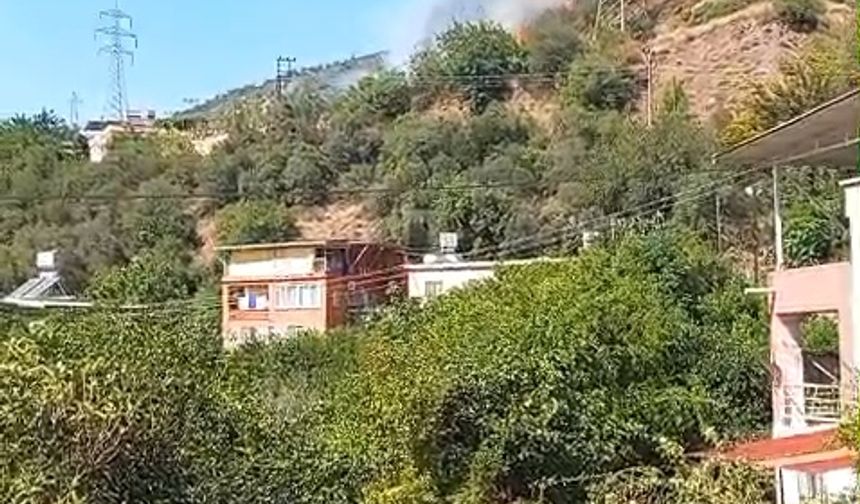 Hatay'da orman yangını