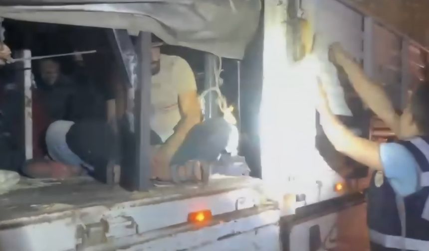 TIR dorsesinde, saman balyalarının altında 31 kaçak göçmen yakalandı