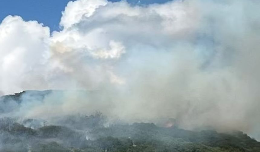 Tokat’ta maki yangınında 15 dönüm alan zarar gördü