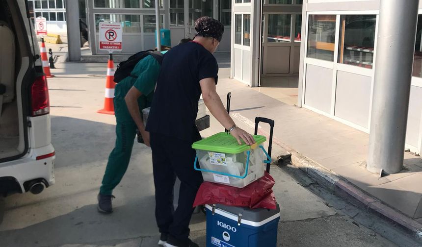 Beyin ölümü gerçekleşen hastanın organları umut oldu