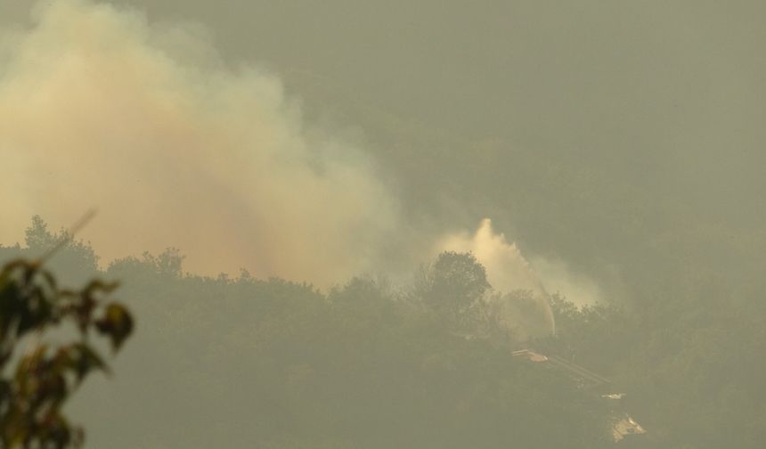 Kocaeli'de orman yangını (2)