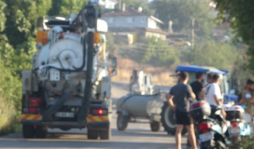 Kocaeli'de orman yangını / Ek Fotoğraflar