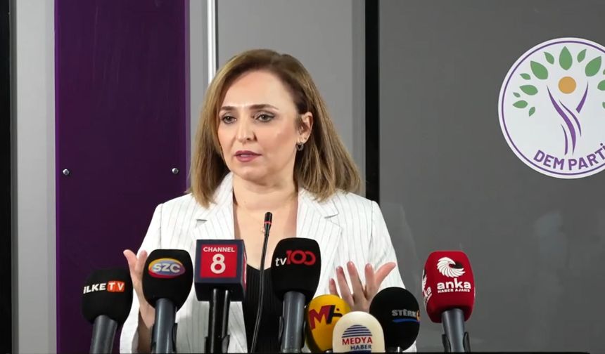 DEM Parti'li Doğan: Niye bu komisyonun hala bir yol haritası yok