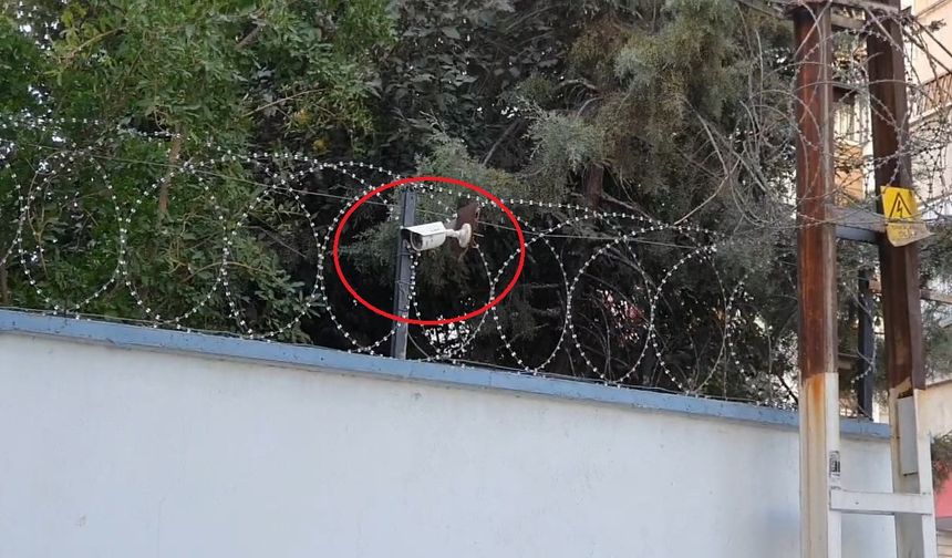 ‘Muska' soruşturmasında ‘şeyh' ve yakınları hakkında iddianame hazırlandı