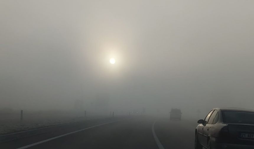 Bingöl’de yoğun sis: Görüş mesafesi 10 metreye düştü