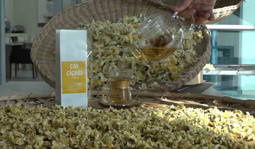 Çayın Yeni Ürünü ‘Çay Çiçeği Çayı’ 6 Bin TL’den Satılıyor