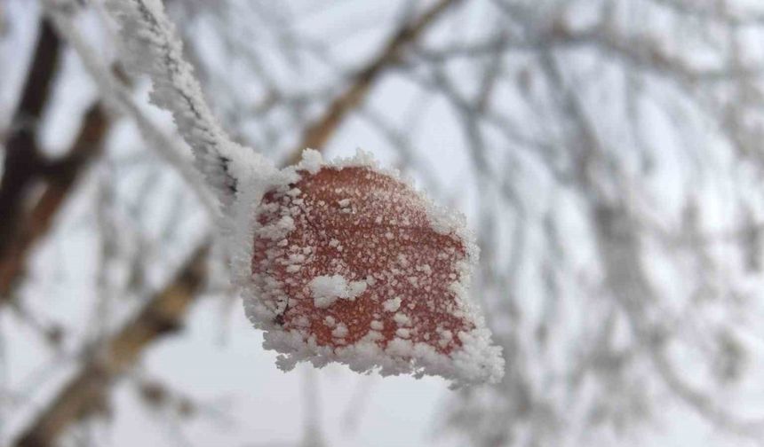 Hava sıcaklığının eksi 14,6 dereceye düştüğü Göle buz tuttu