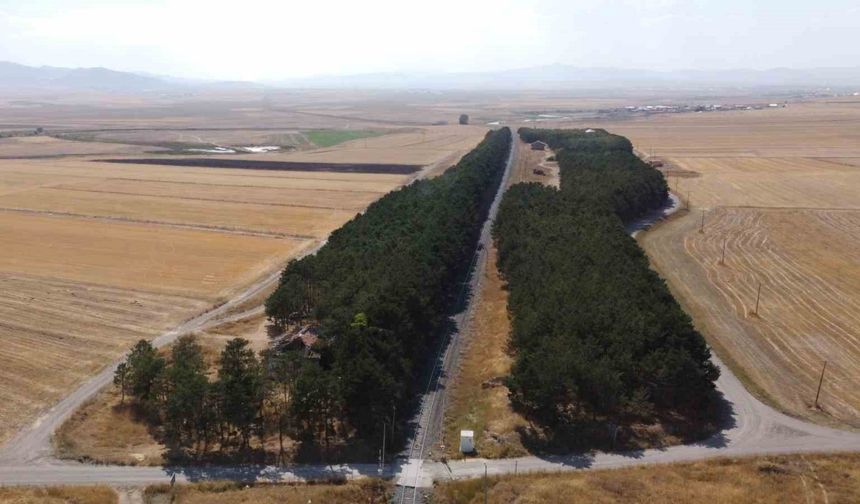 Kars’ta bozkırın ortasındaki vaha havadan görüntülendi