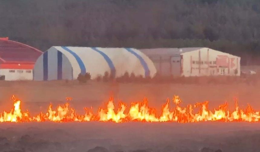 Putka Gölü’nde çıkan yangın korkuttu