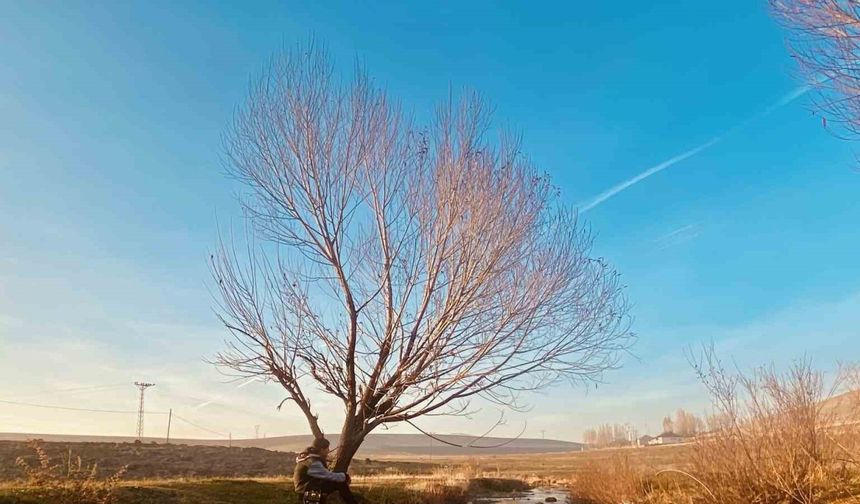 Sonbaharda sararan yapraklar görsel şölen oluşturdu